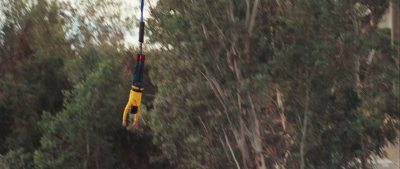 yesman-teaser30.jpg
