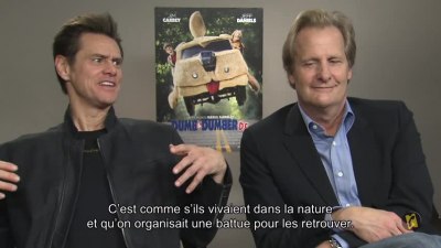 france010.jpg