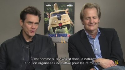 france014.jpg
