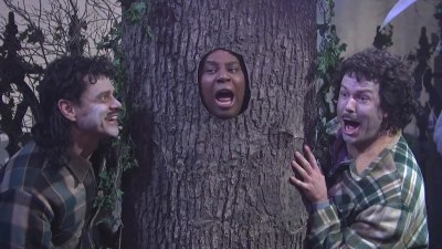 snl043.jpg